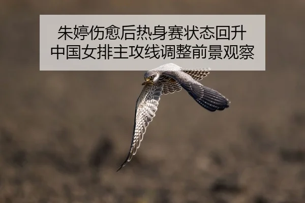 朱婷伤愈后热身赛状态回升 中国女排主攻线调整前景观察 - XCSPORT